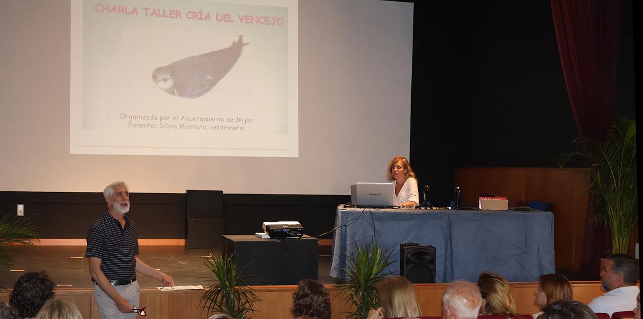 Medio ambiente impulsa la creación de una red de voluntarios para cuidar vencejos heridos