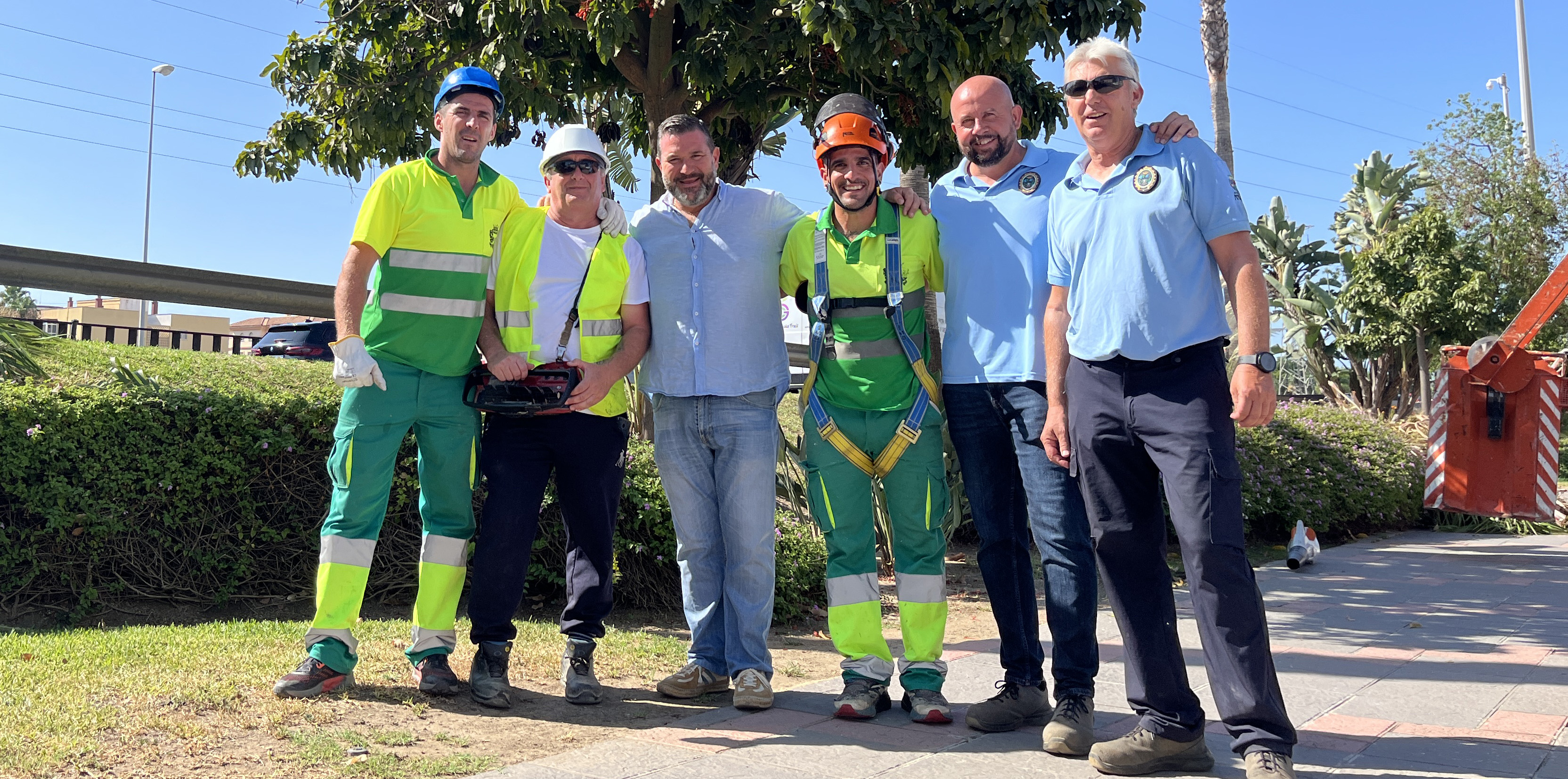Parques y Jardines realiza labores preventivas de poda en palmeras 